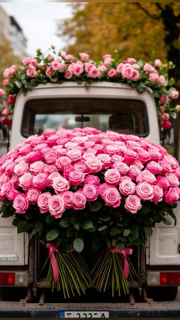 Secret Garden Whimsy: Enigmatic Floral Array